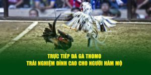trực tiếp đá gà thomo